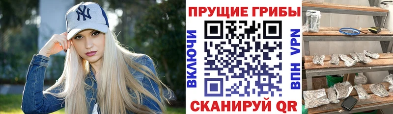 Галлюциногенные грибы прущие грибы  магазин продажи   kraken как войти  Суровикино 