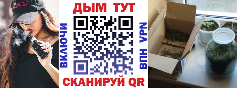 даркнет сайт  Суровикино  МАРИХУАНА OG Kush 